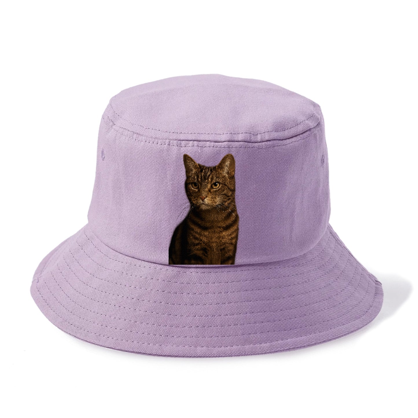 brown-tabby-cozy-charm Hat