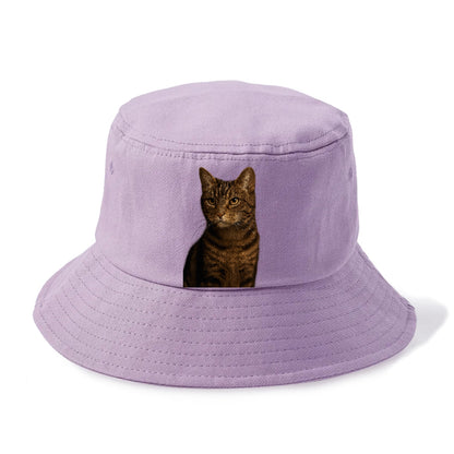 brown-tabby-cozy-charm Hat