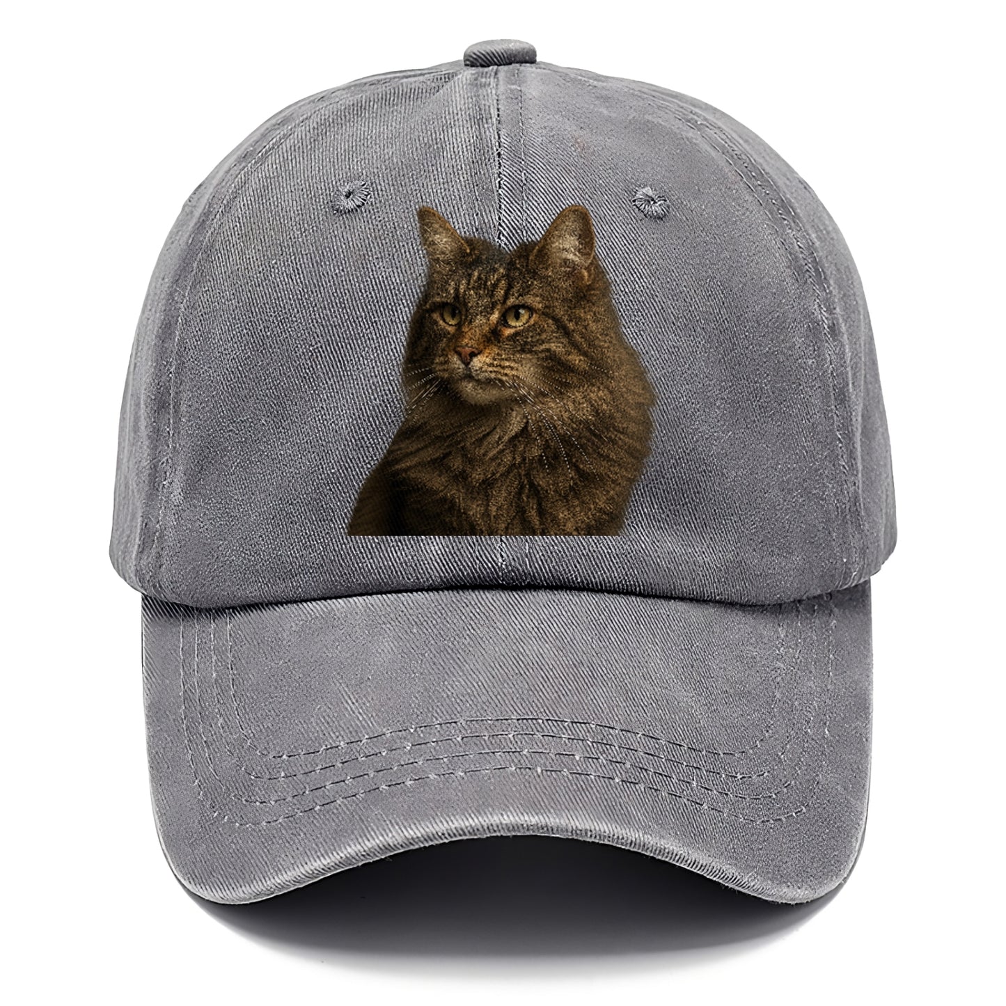 norwegian-forest-cat-wild-majesty Hat