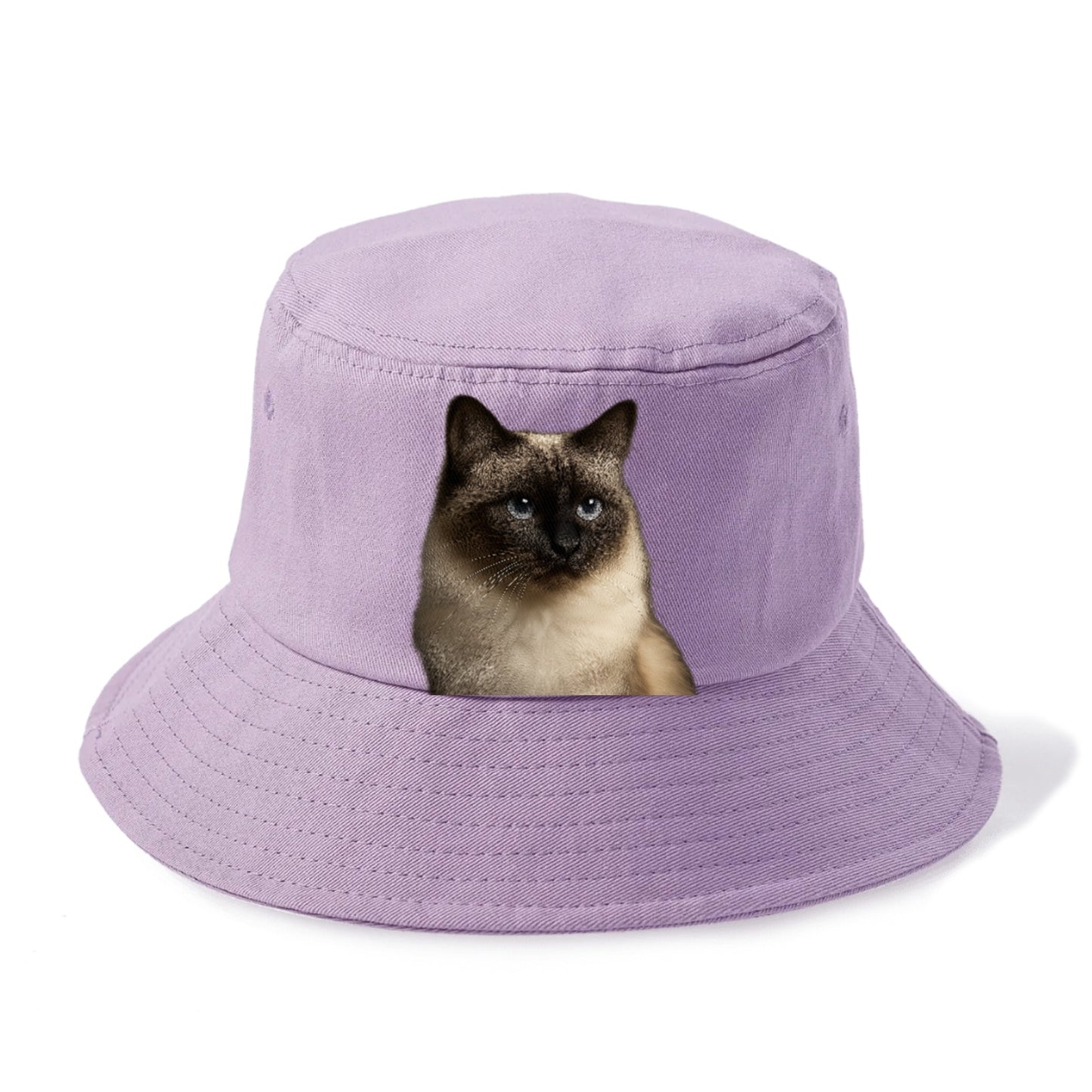 birman-cat-serene-elegance Hat