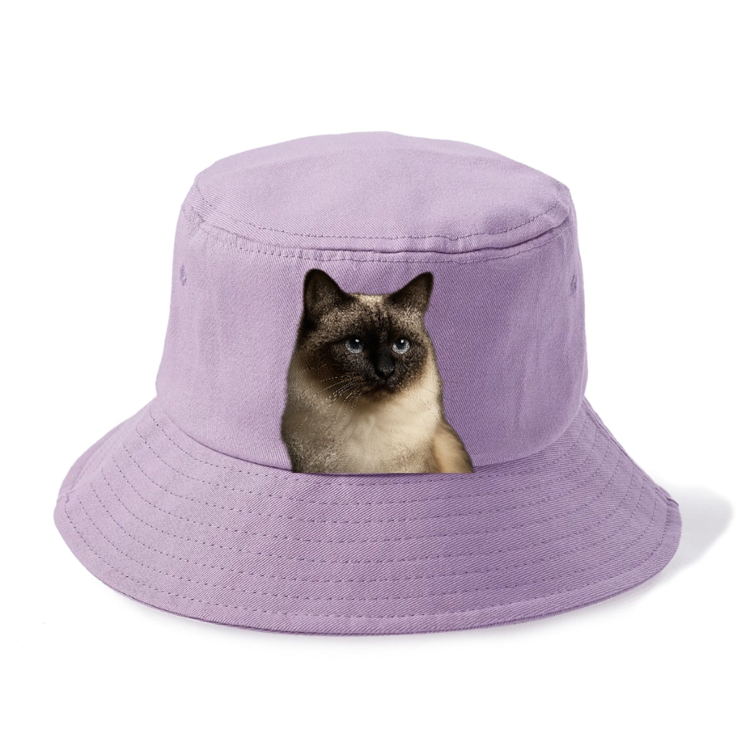 birman-cat-serene-elegance Hat