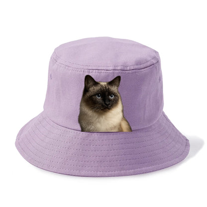 birman-cat-serene-elegance Hat