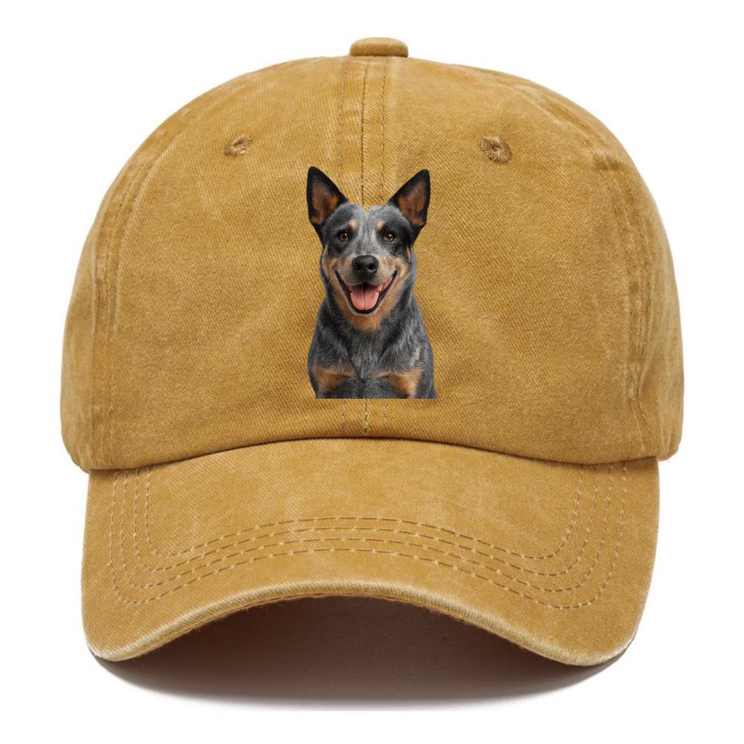 blue heeler agile herder Hat
