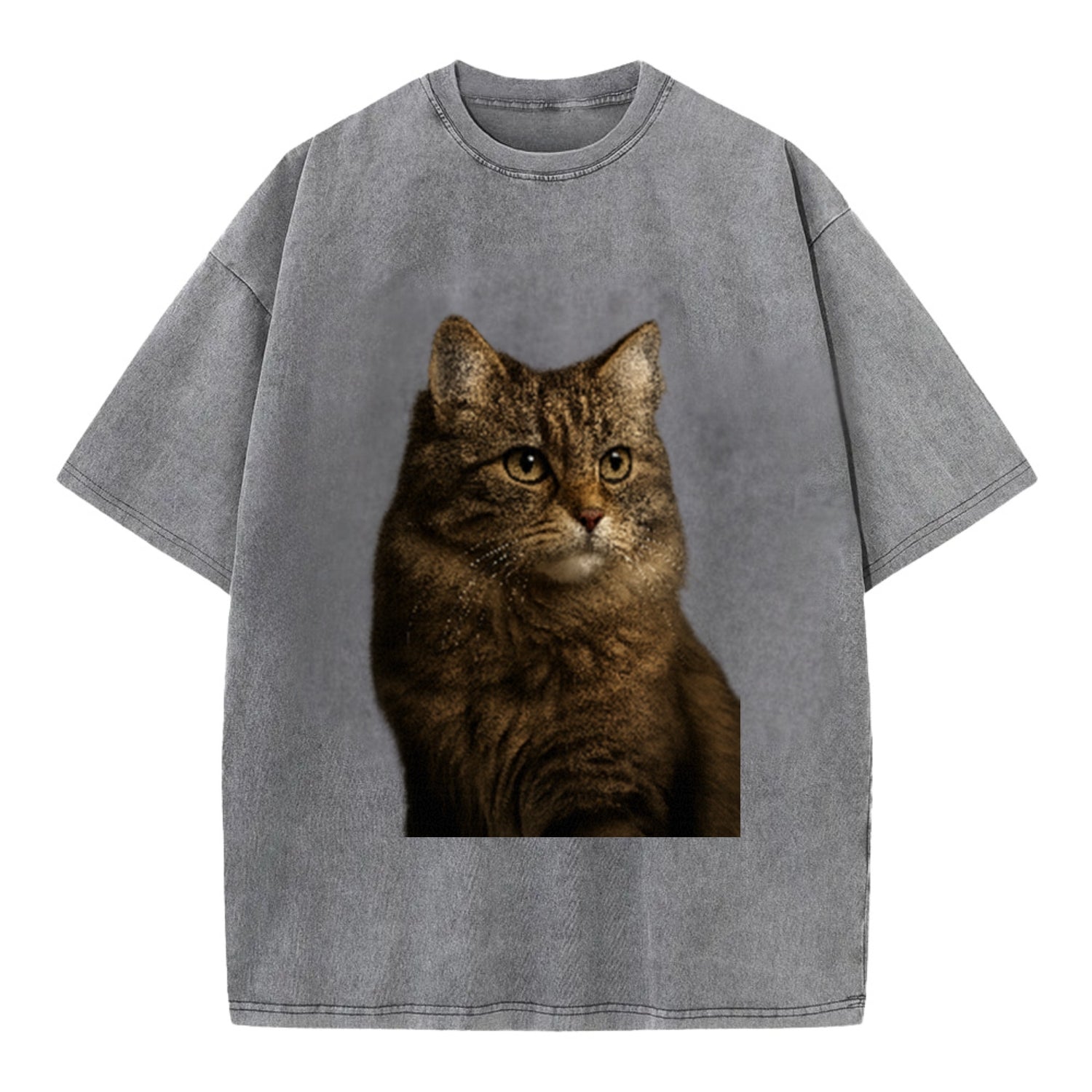 domestic-longhair-graceful-flow Hat