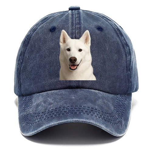 Husky Arctic Adventure Classic Cap