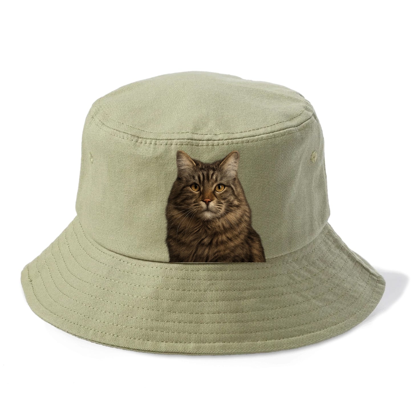maine coon majestic feline Hat