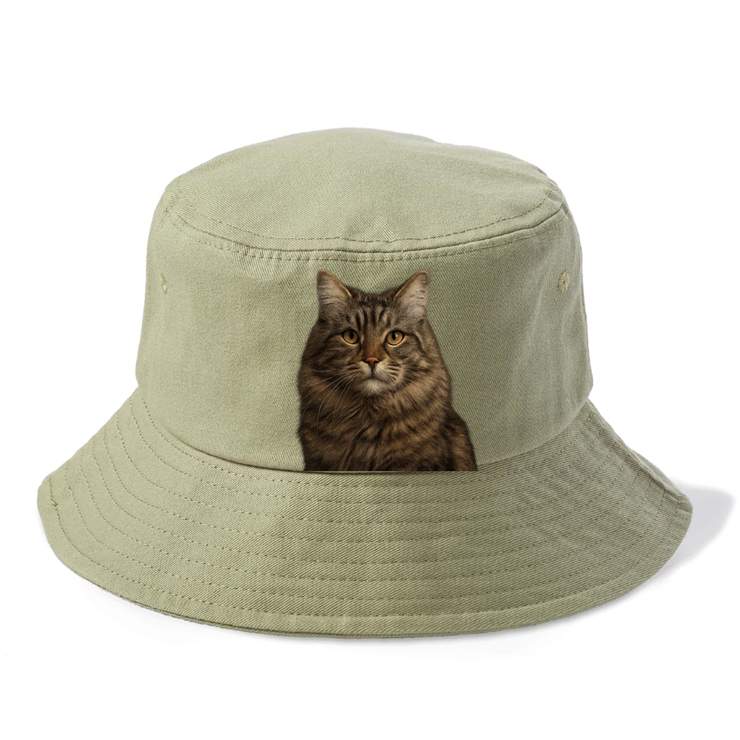 maine coon majestic feline Hat