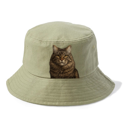 maine coon majestic feline Hat