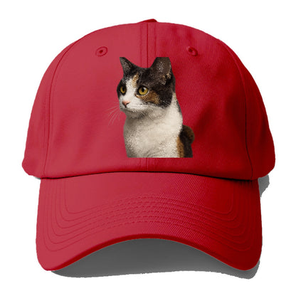 japanese-bobtail-playful-spirit Hat
