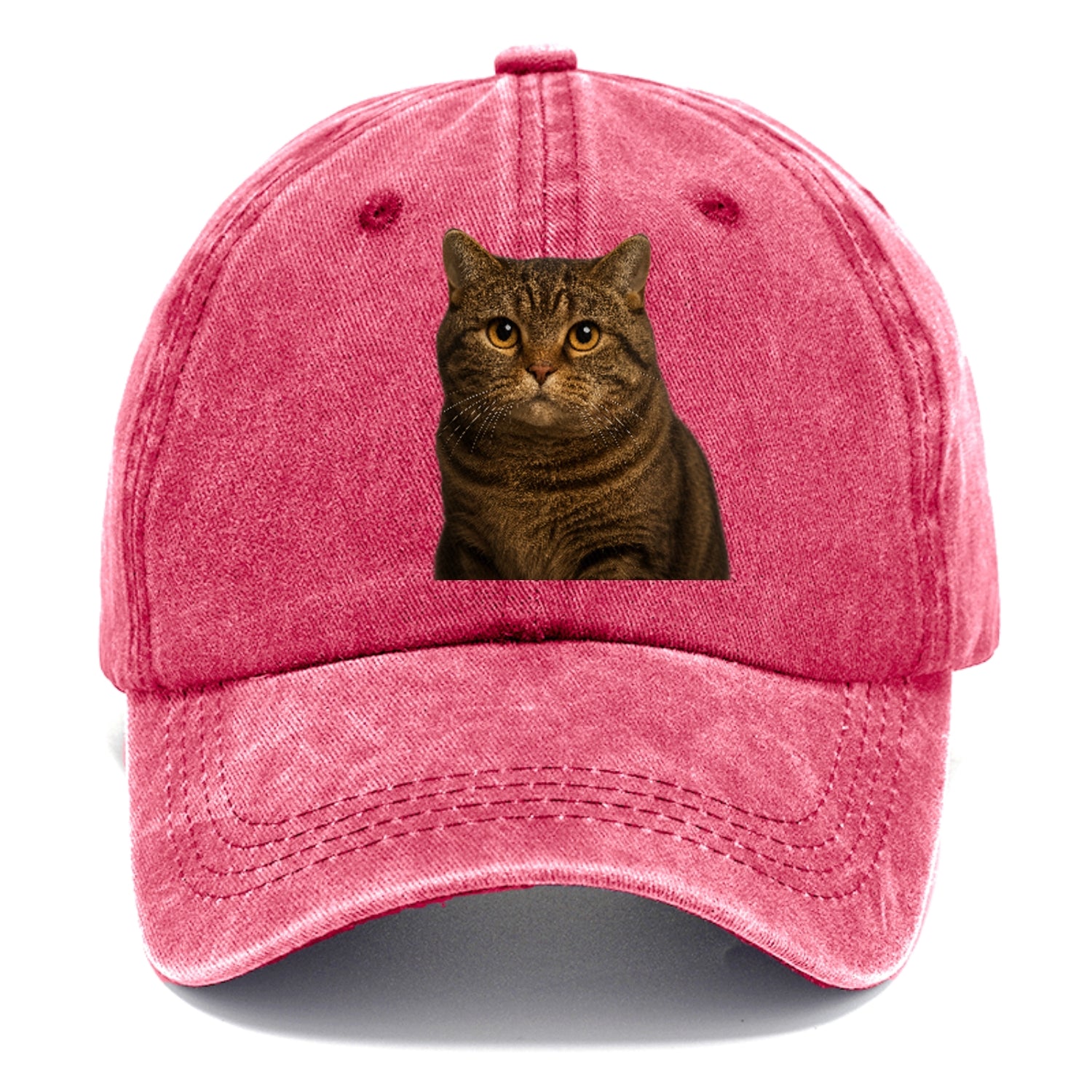 manx-cat-distinct-charm Hat