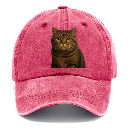 manx-cat-distinct-charm Hat