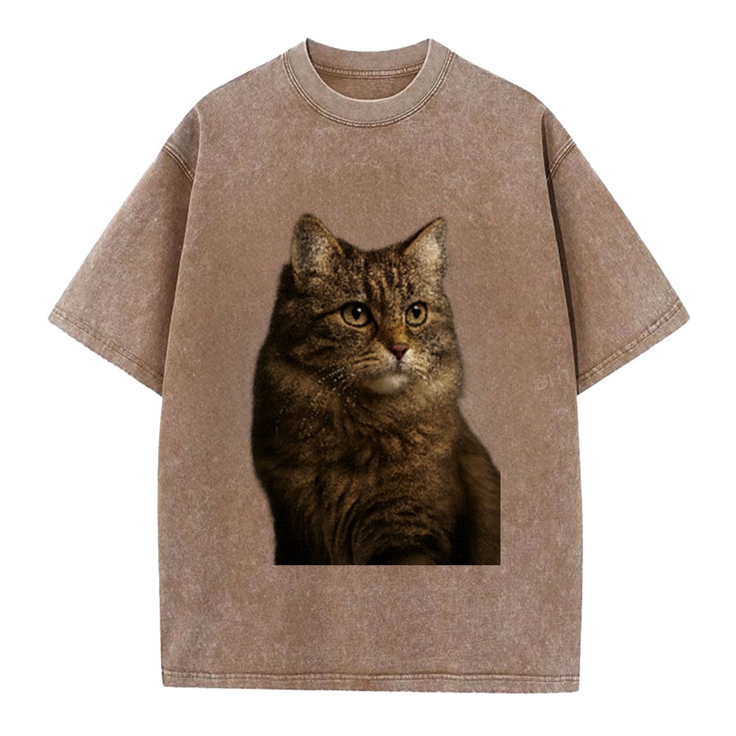 domestic-longhair-graceful-flow Hat