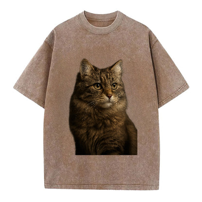 domestic-longhair-graceful-flow Hat