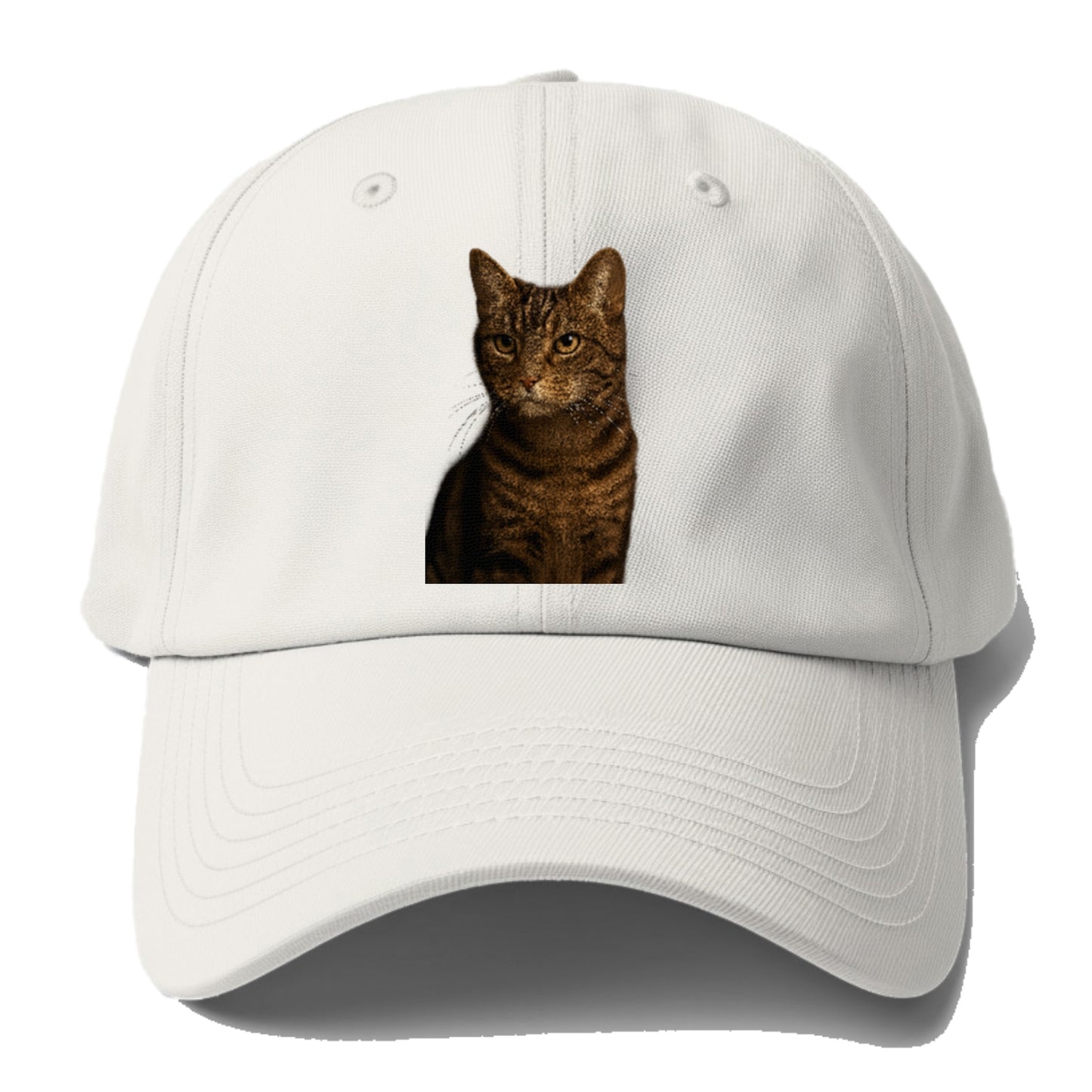 brown-tabby-cozy-charm Hat