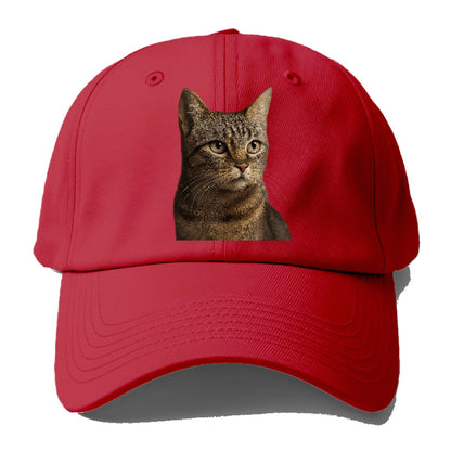 stray-cat-resilient-spirit Hat