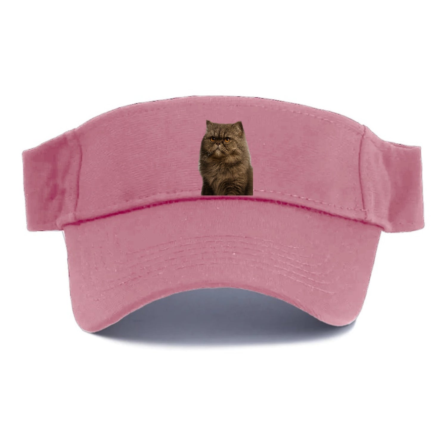 persian-cat-regal-elegance Hat