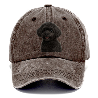 black maltipoo portrait design Hat