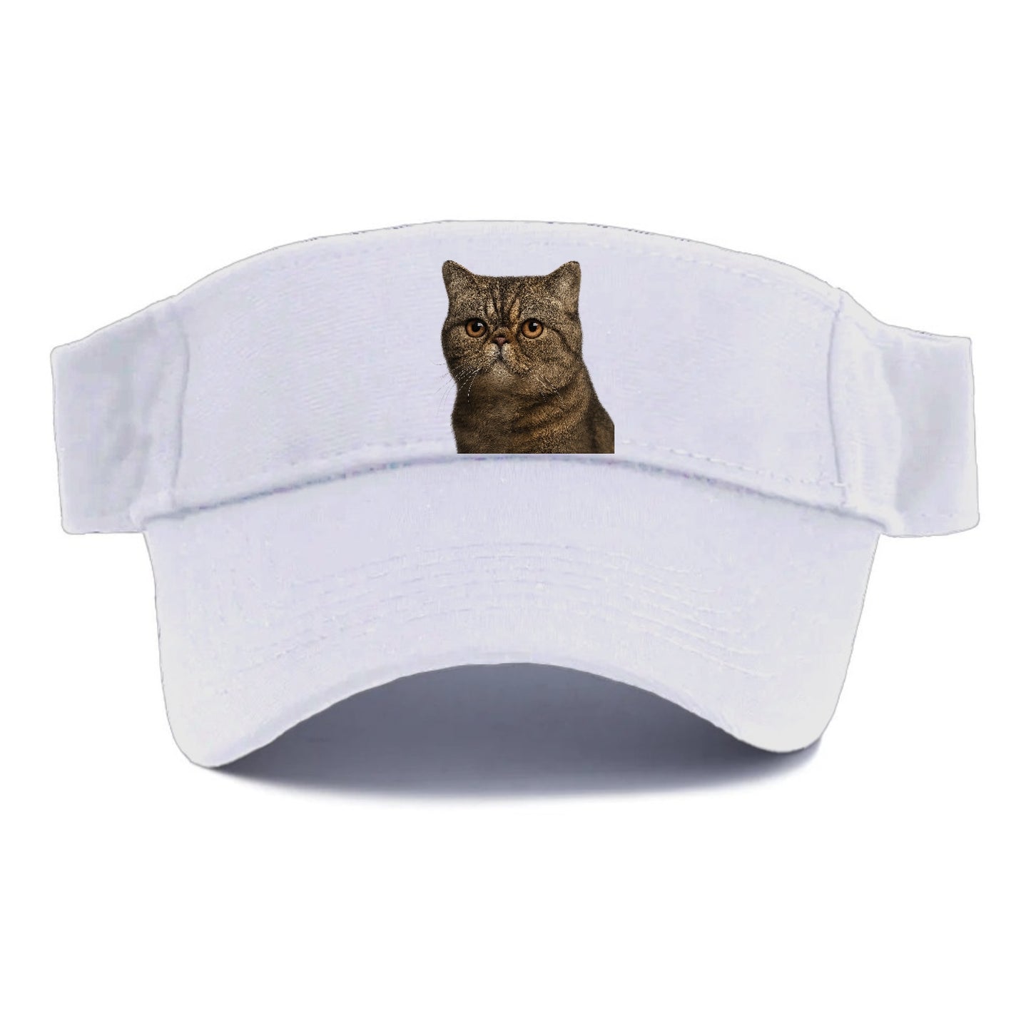exotic-shorthair-calm-demeanor Hat