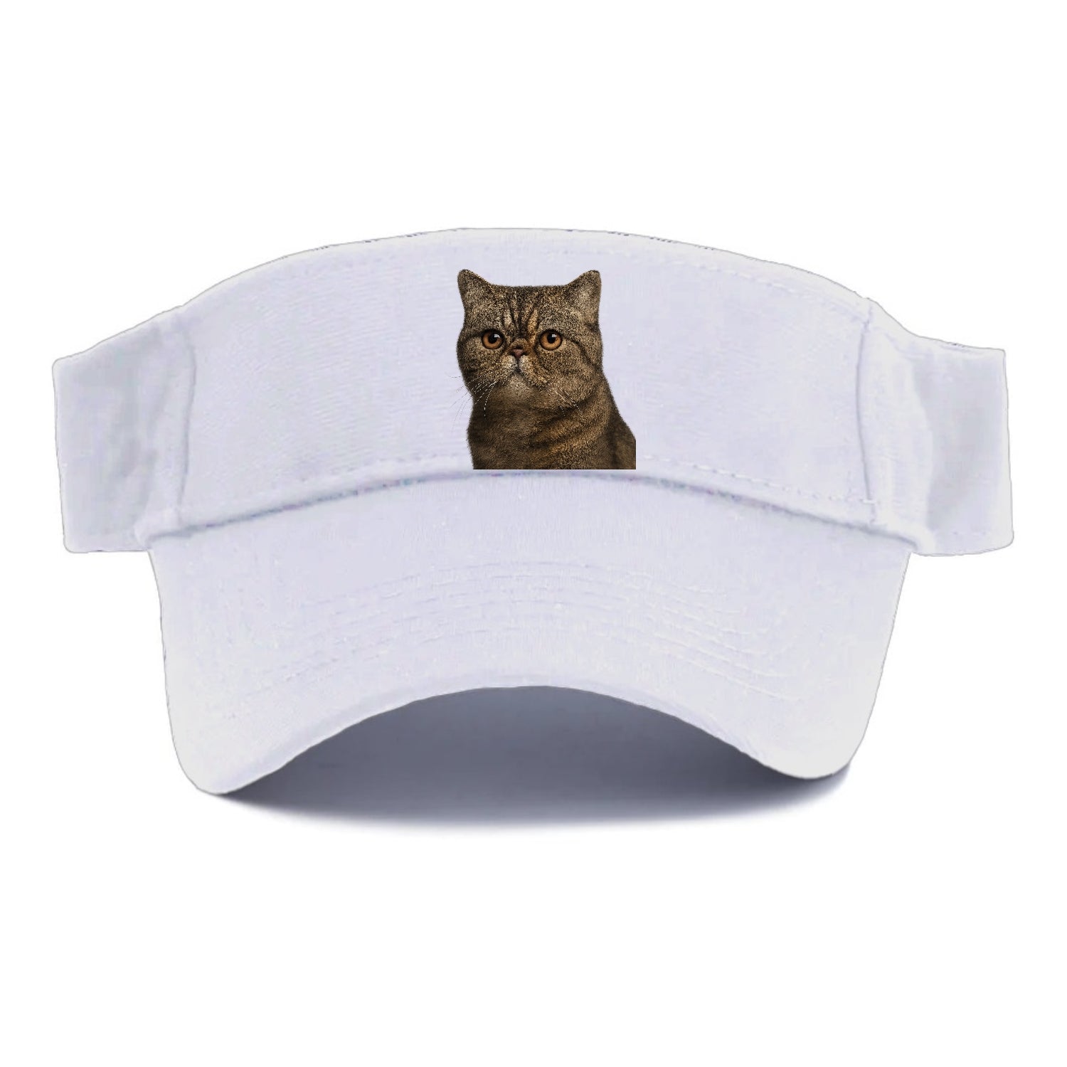 exotic-shorthair-calm-demeanor Hat