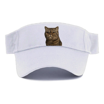 exotic-shorthair-calm-demeanor Hat