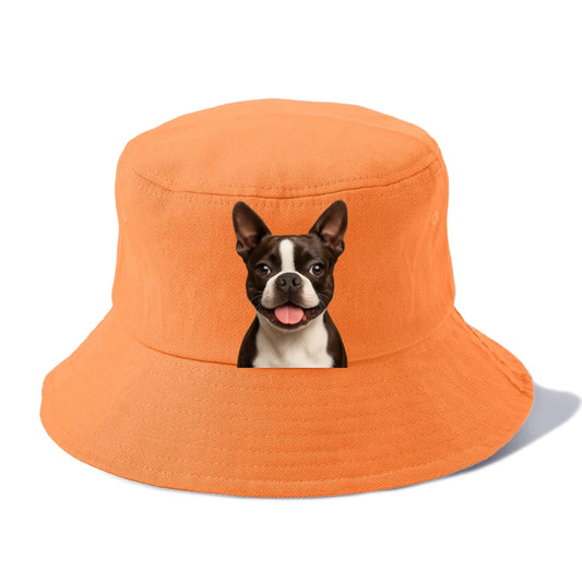 boston terrier: dapper & devoted companion Hat