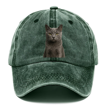 gray-cat-mysterious-charm Hat