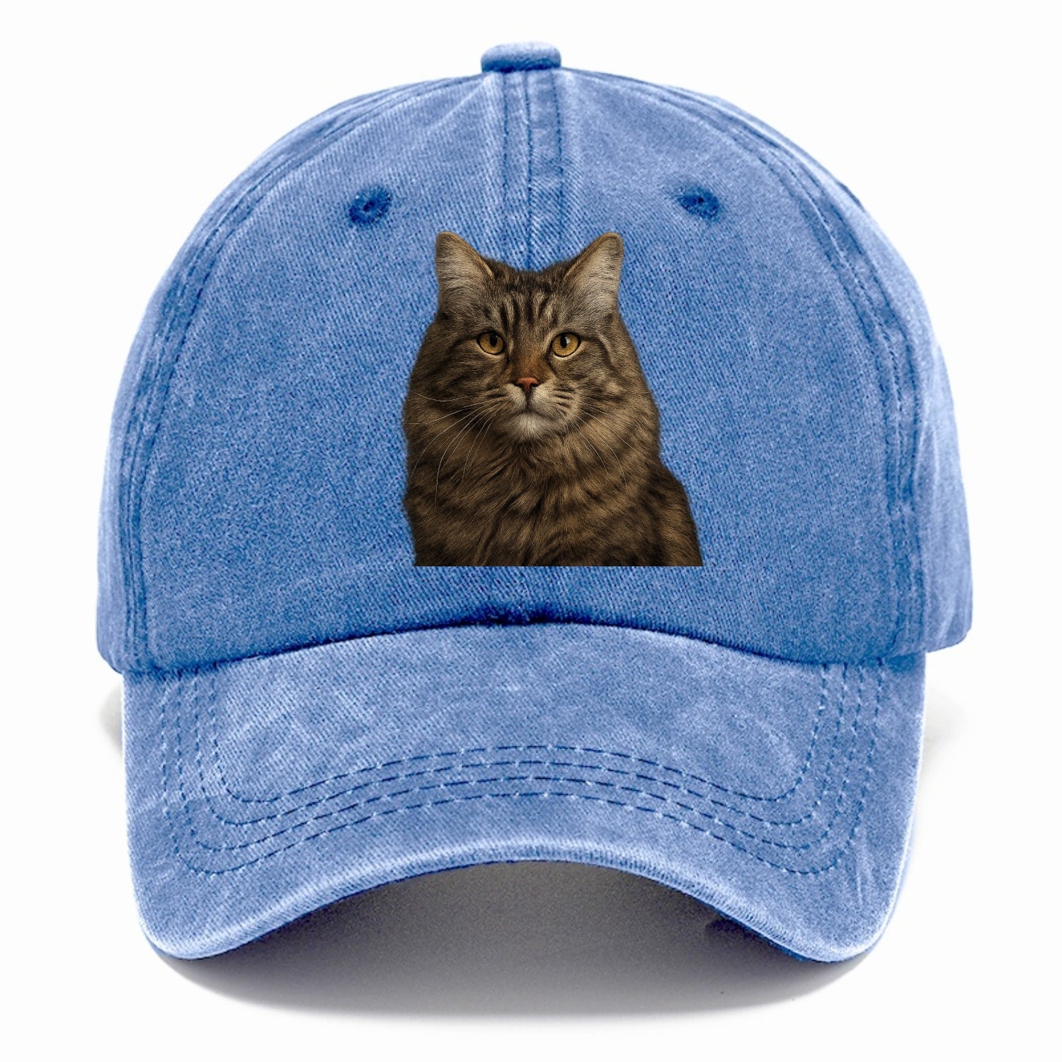 maine coon majestic feline Hat