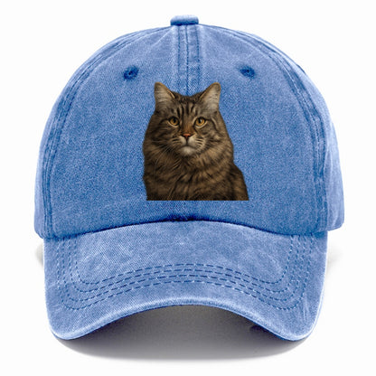 maine coon majestic feline Hat