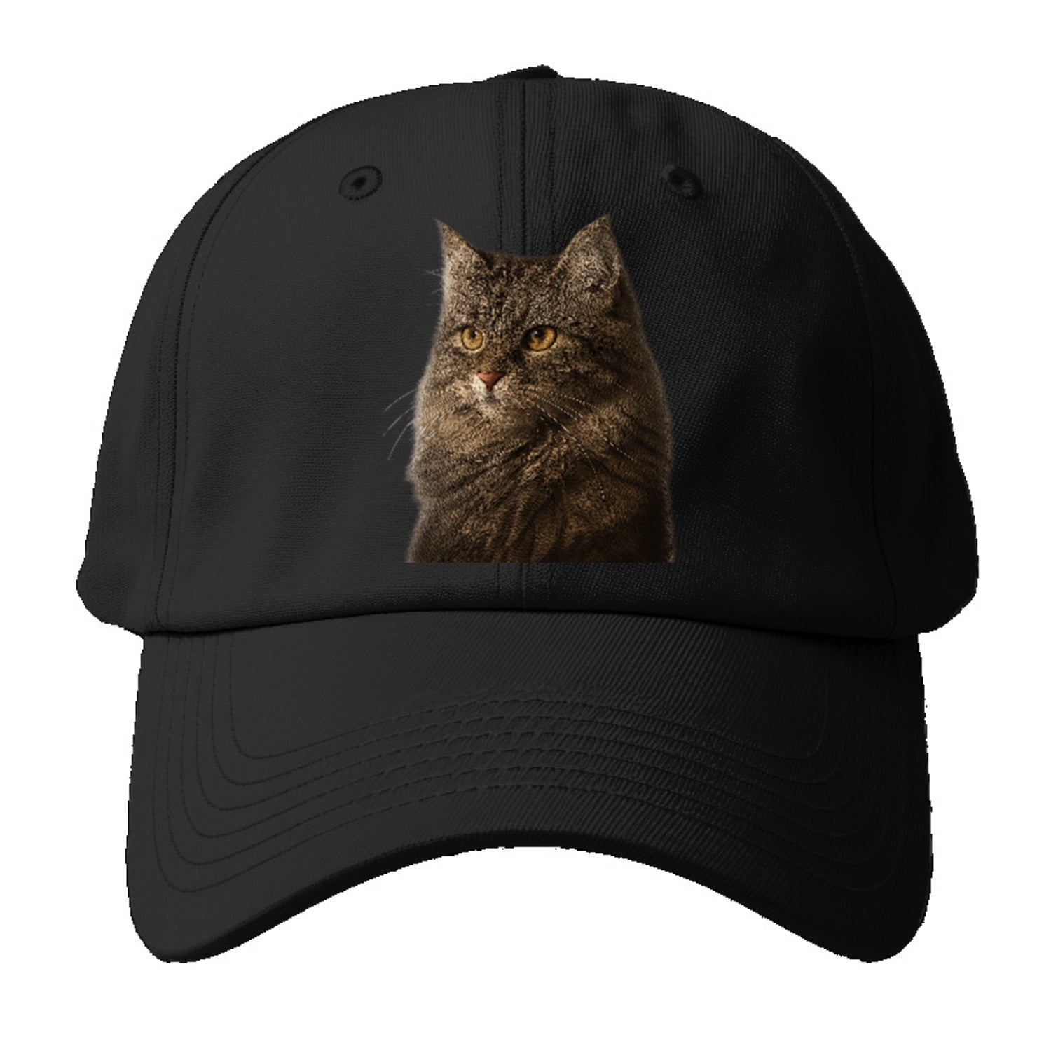 domestic-longhair-graceful-charm Hat