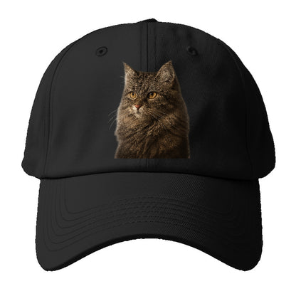 domestic-longhair-graceful-charm Hat