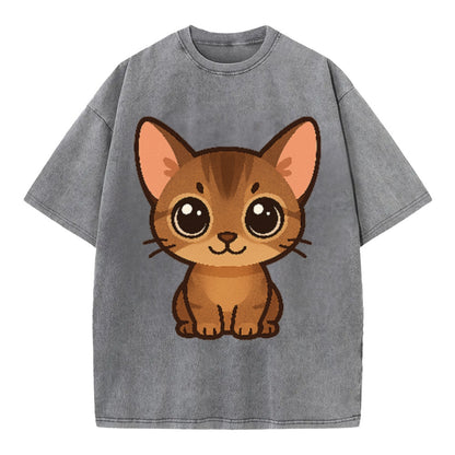 abyssinian-playful-spirit Hat