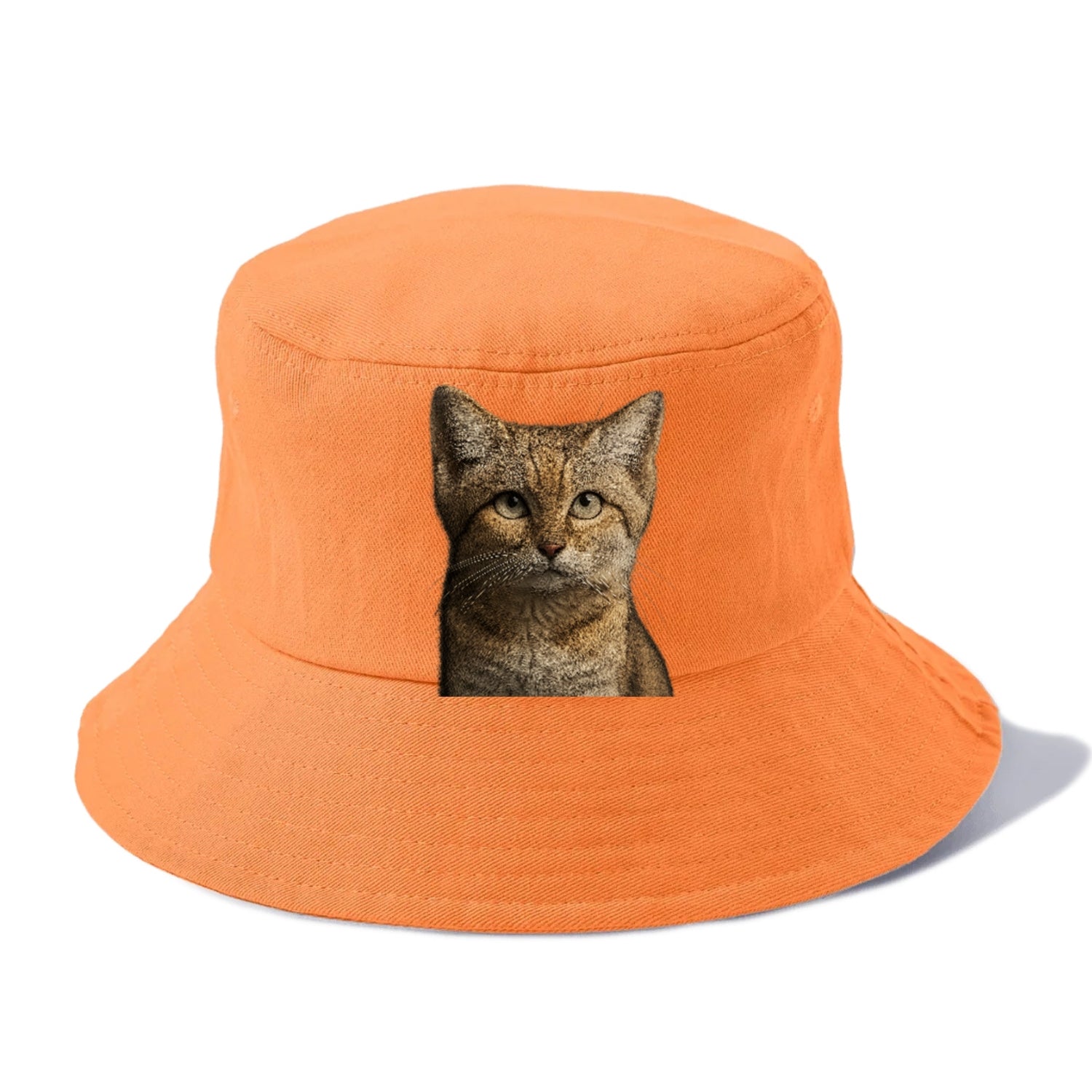 sand-cat-desert-spirit Hat