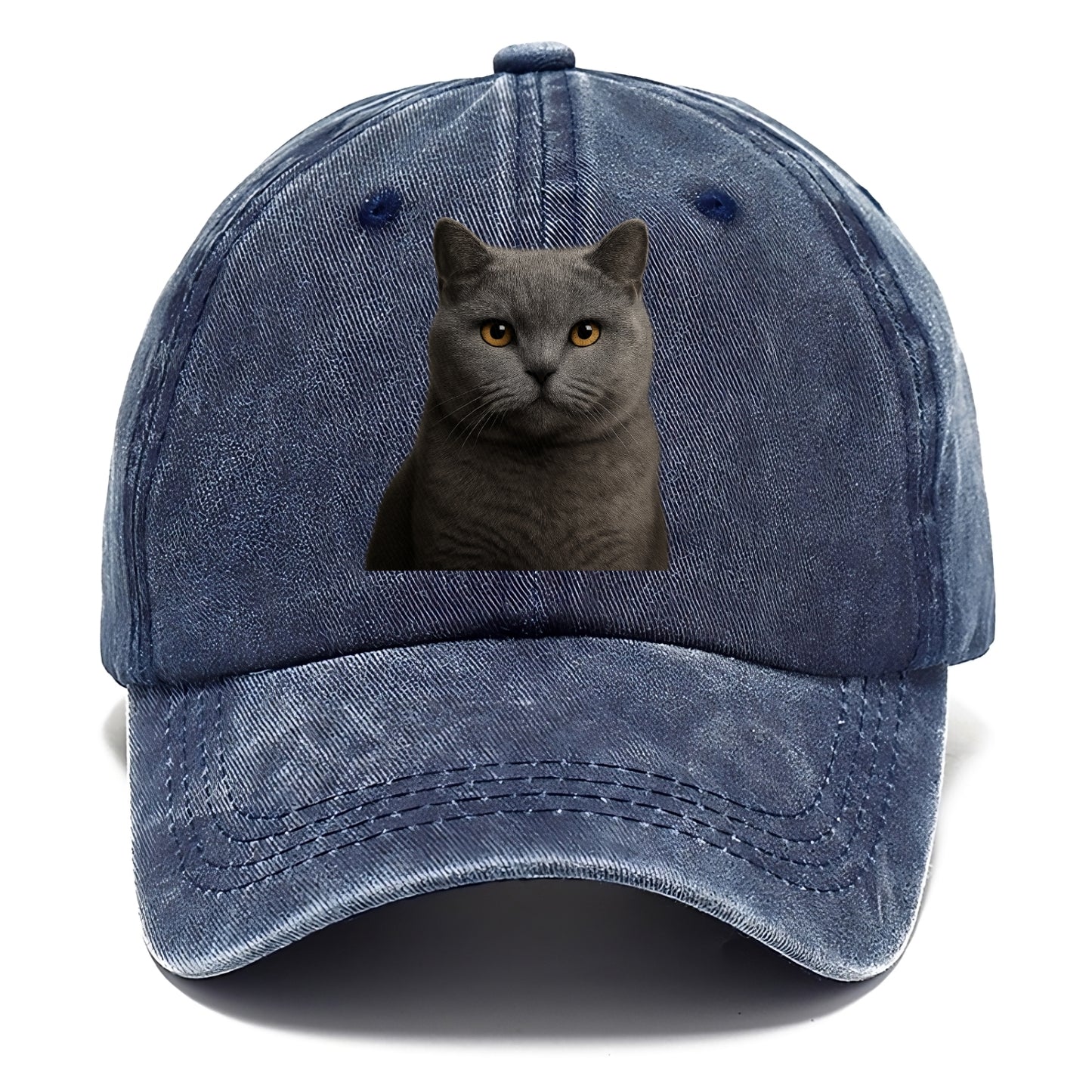 british shorthair dignified charm Hat