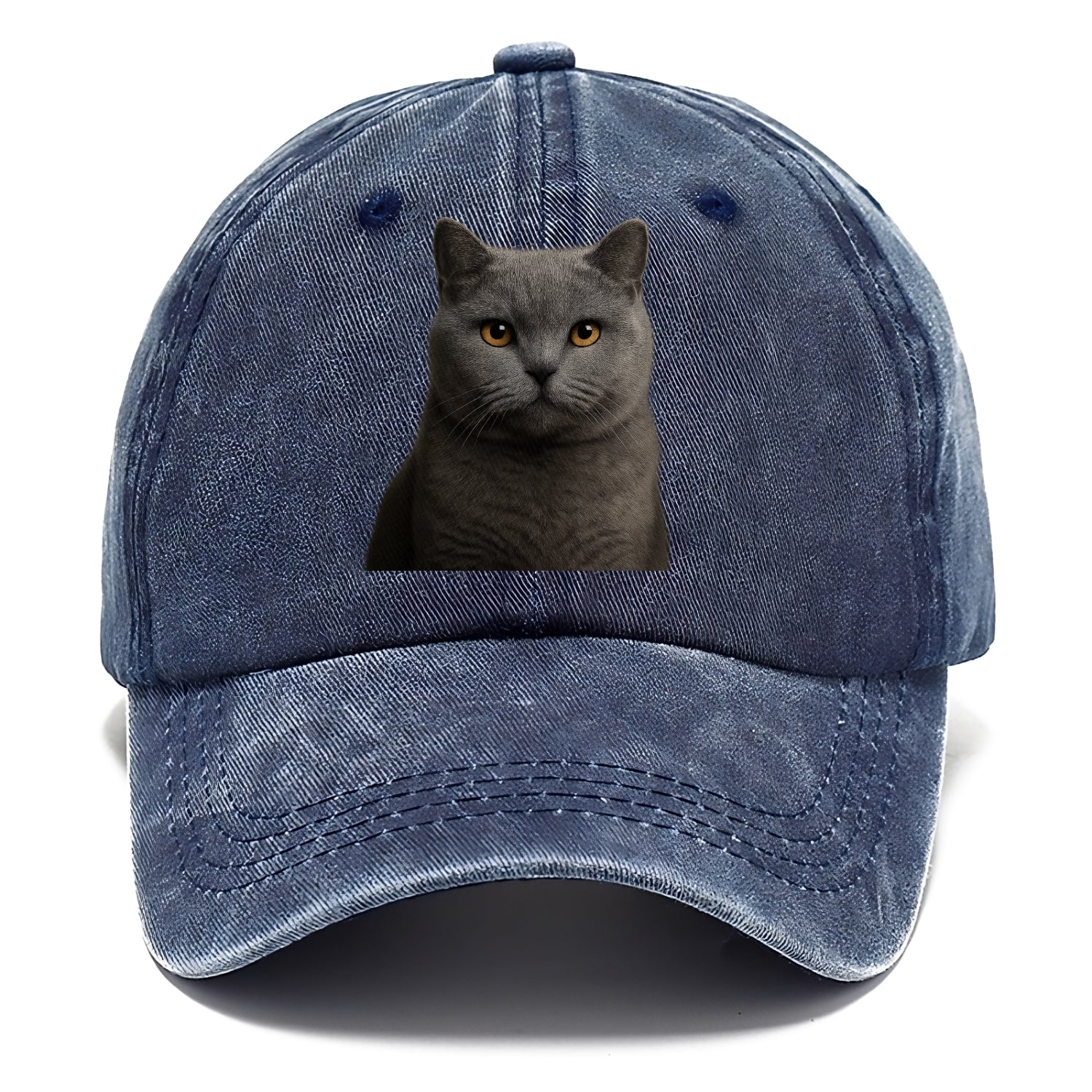 british shorthair dignified charm Hat