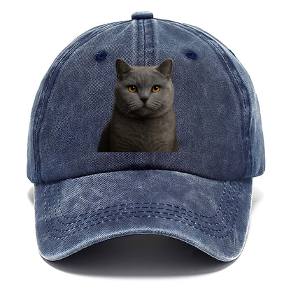 british shorthair dignified charm Hat