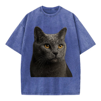 chartreux-quiet-grace Hat