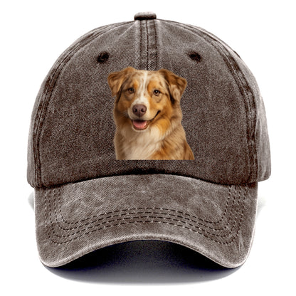 red merle australian shepherd portrait design Hat