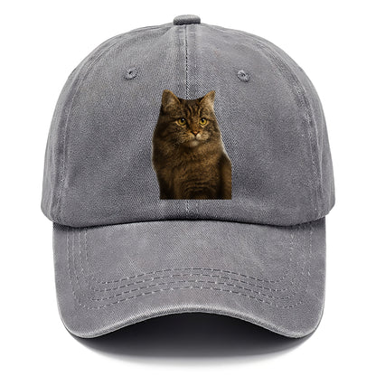 cymric-playful-spirit Hat