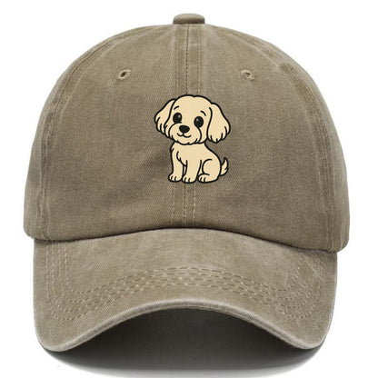 havanese cream colored sitting pose portrait design Hat