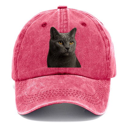 chartreux-quiet-grace Hat
