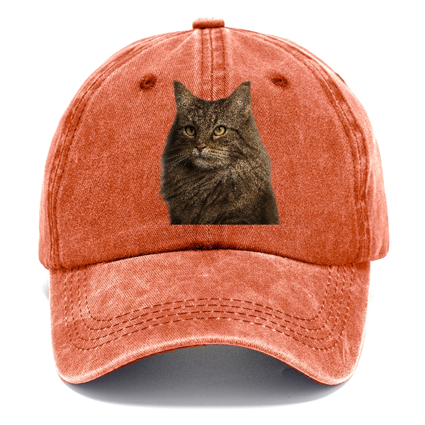norwegian-forest-cat-wilderness-spirit Hat