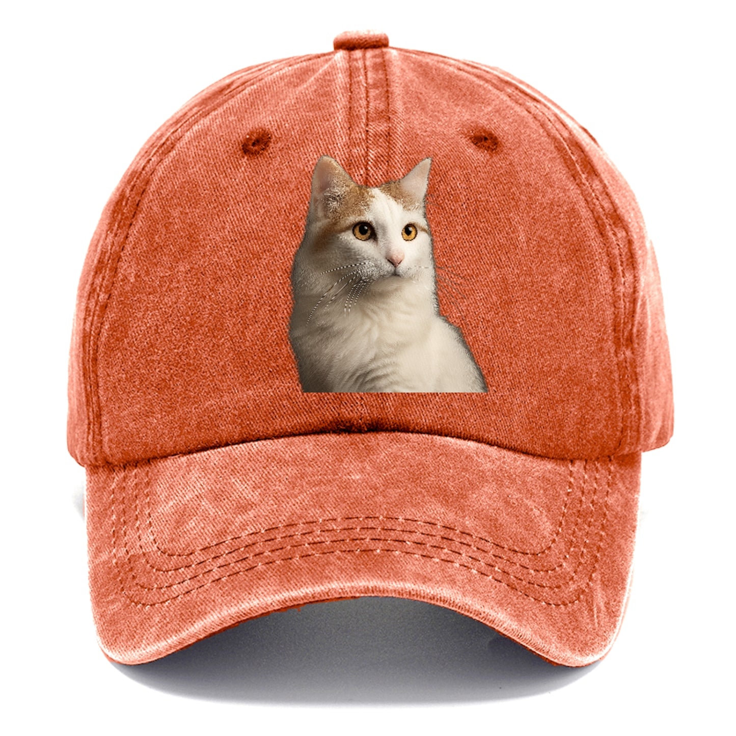 turkish-van-aquatic-elegance Hat
