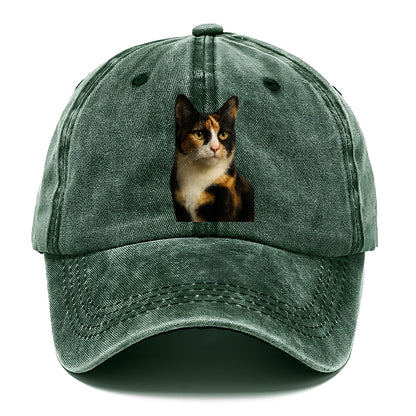 calico-mix-vibrant-spirit Hat