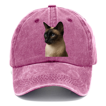 seal-point-siamese-elegance Hat