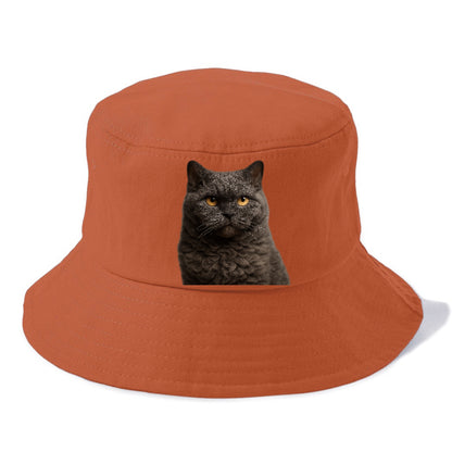 selkirk-rex-curly-charm Hat