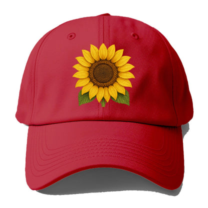 sunny disposition headwear Hat