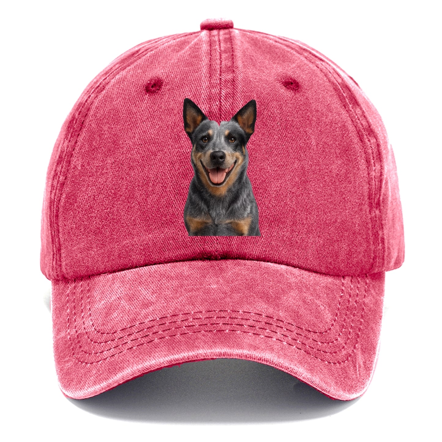 blue heeler agile herder Hat