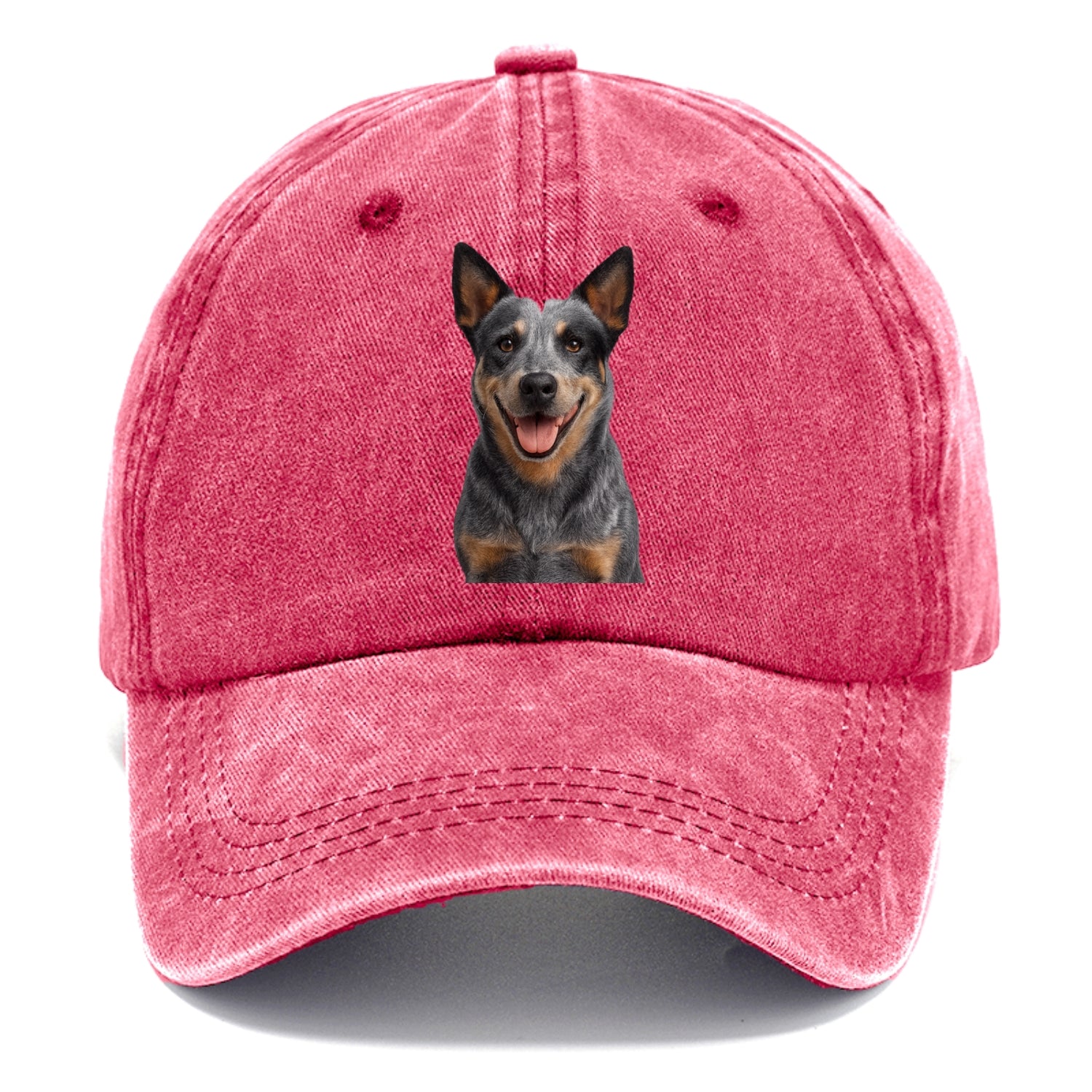 blue heeler agile herder Hat