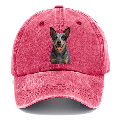 blue heeler agile herder Hat