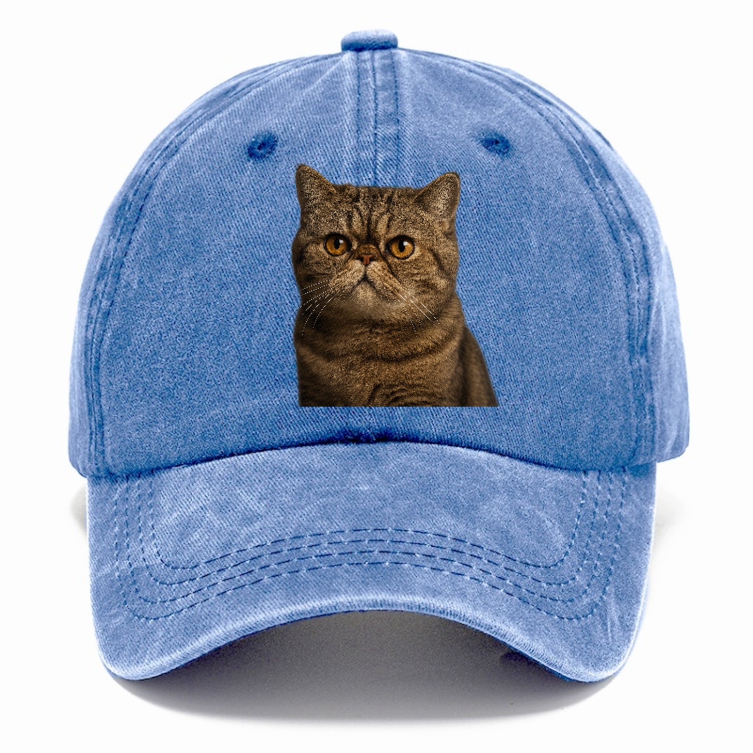 exotic-shorthair-charm Hat